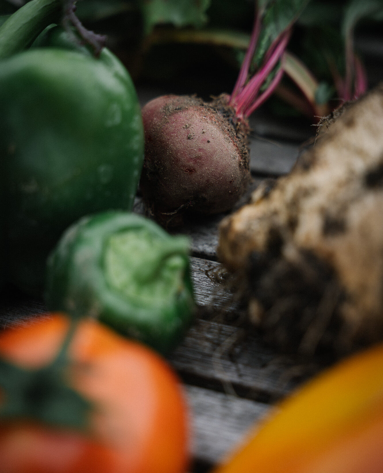 <p>Deine Kiste voller Nährstoffe</p> / Bild