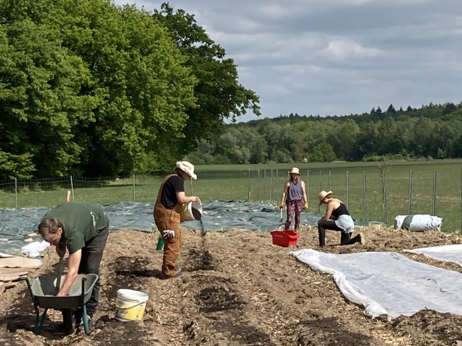 Menschen auf dem Feld